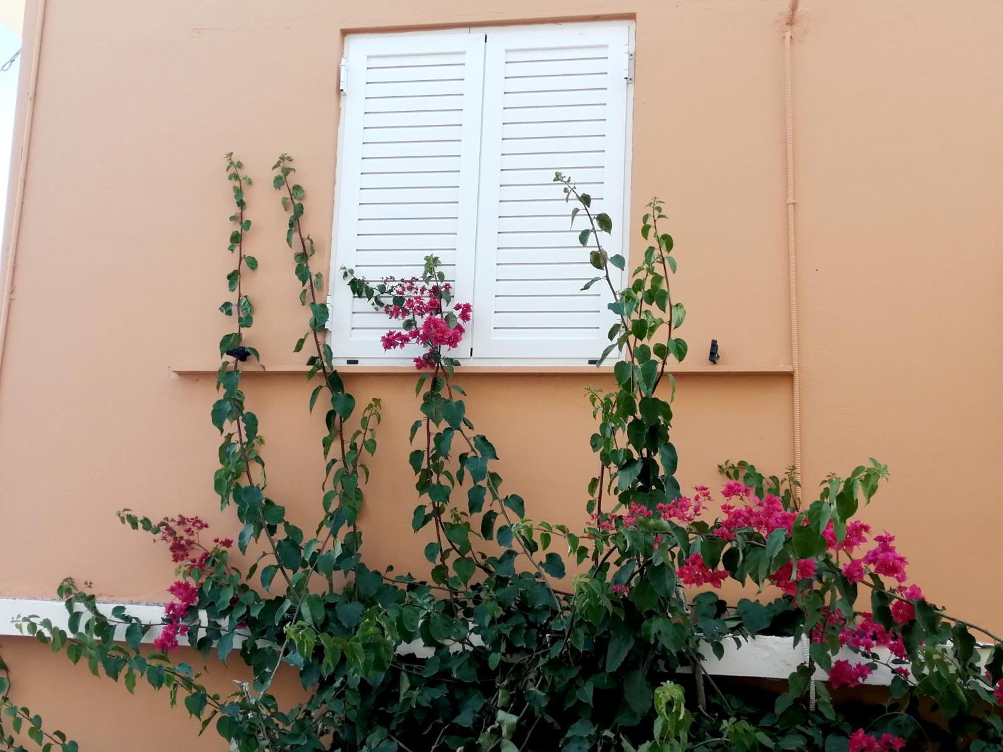 Katerina Rooms & Studios ปาเลกาสตรอน ภายนอก รูปภาพ