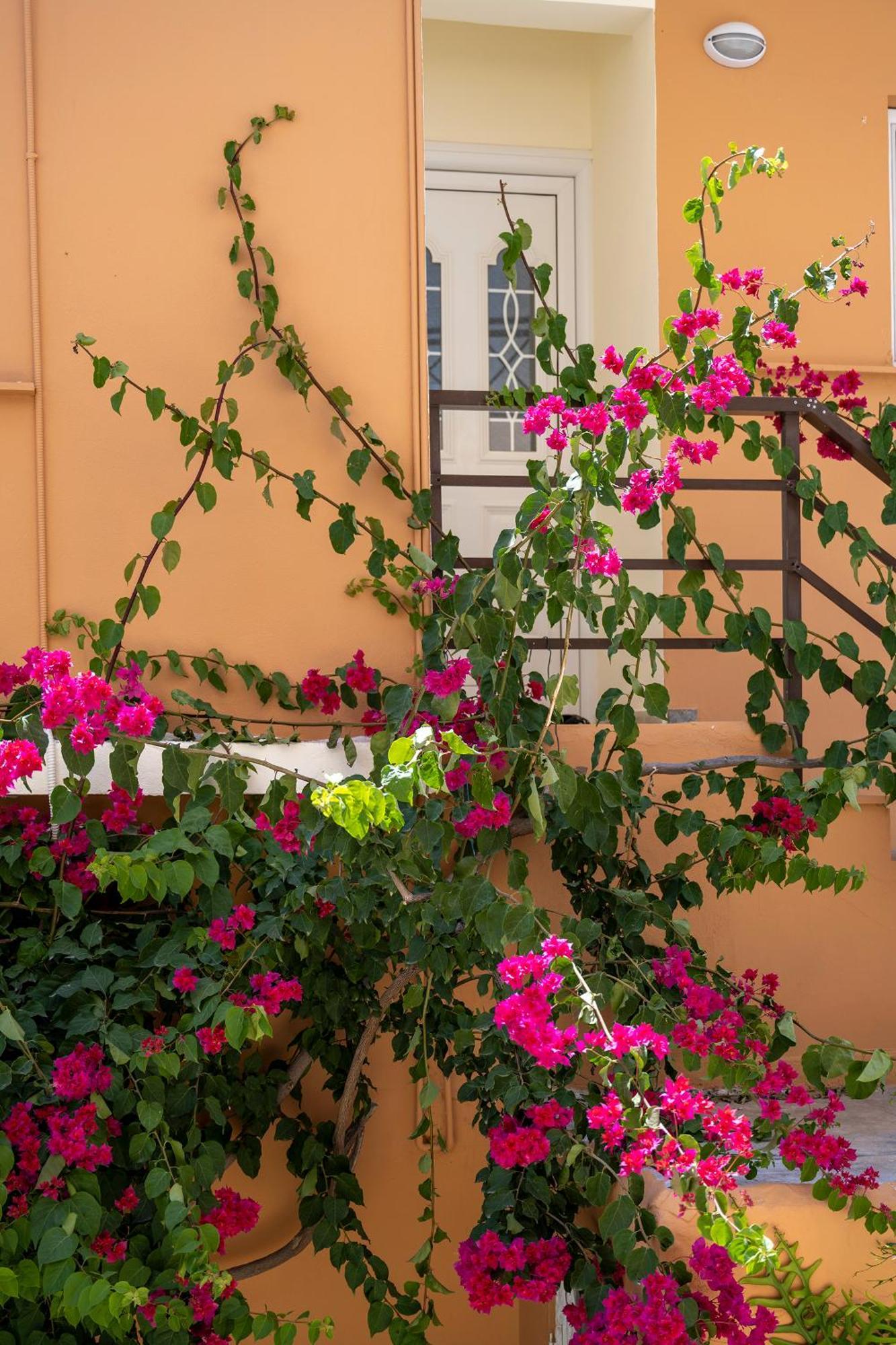 Katerina Rooms & Studios ปาเลกาสตรอน ภายนอก รูปภาพ